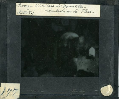 441 Diapositiva in vetro