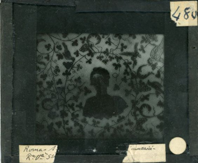 480 Diapositiva in vetro