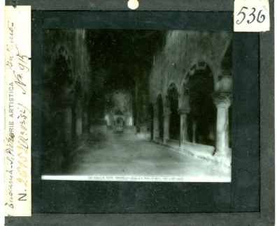 536 Diapositiva su vetro